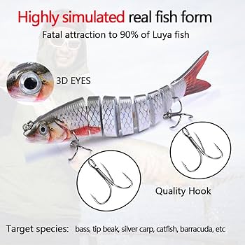 Amazon.com : PISERDE Fishing Lure Jointed Crankbait Hard